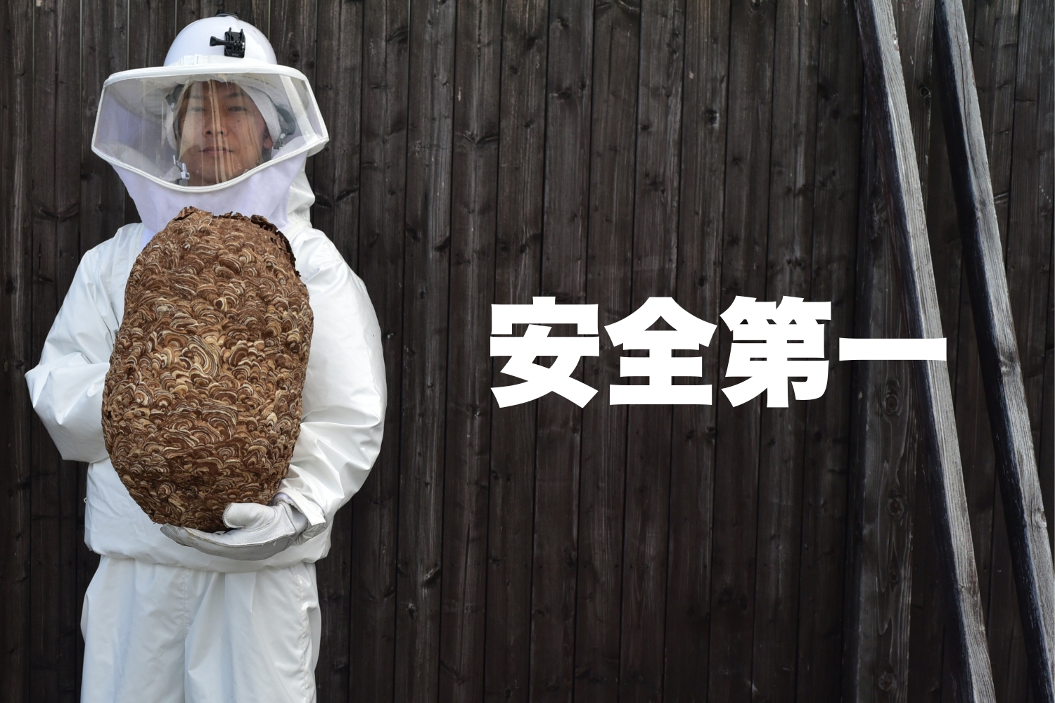 ハチ駆除